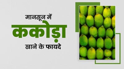मानसून में खाएं ककोड़ा की सब्जी, शरीर को मिलेंगे ये 5 जबरदस्त फायदे 