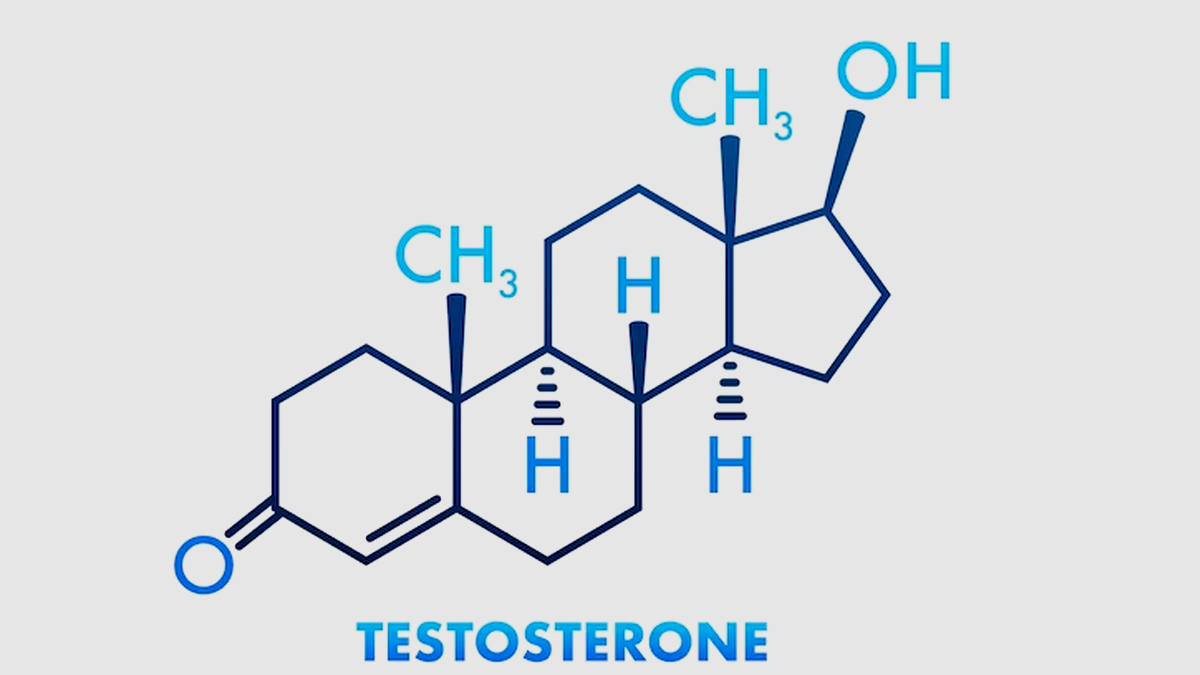 Understanding Physical Mental And Financial Impact Of Testosterone Imbalance