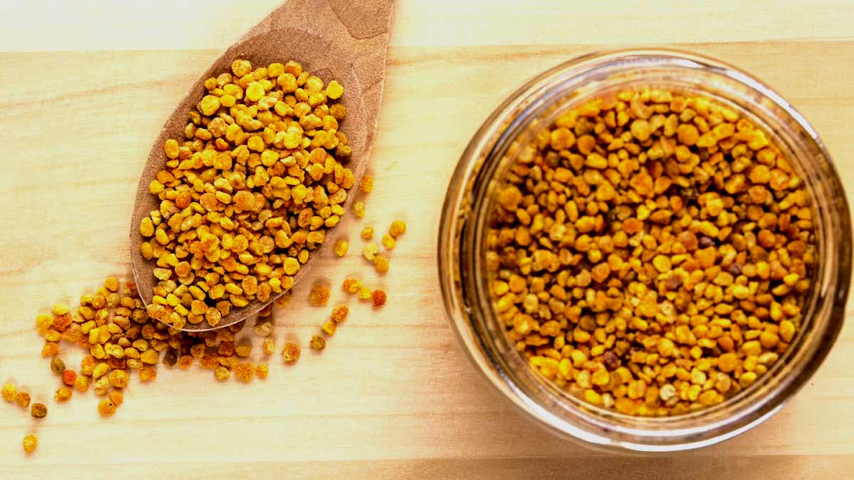 fenugreek