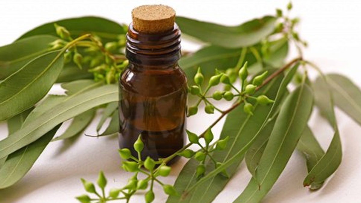 Muscle-Soreness-Oils