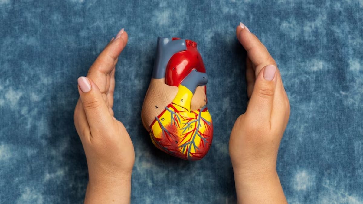 Heart Attack Symptoms in High Cholesterol