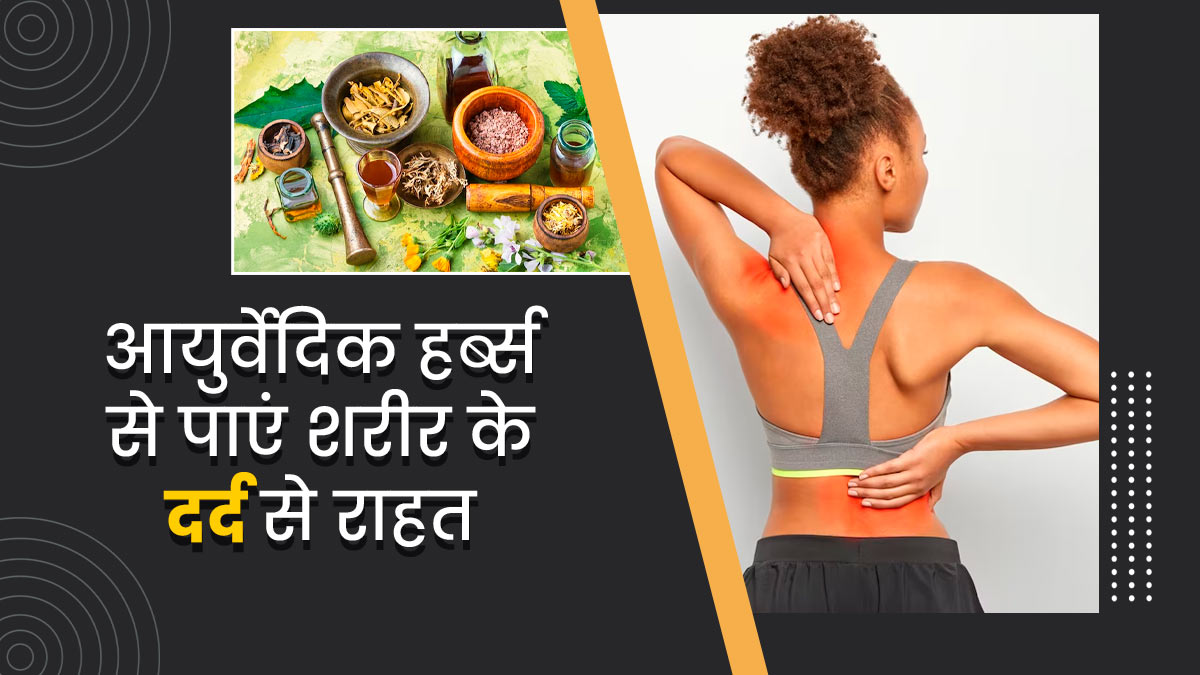 शरीर के दर्द से राहत दिला सकती हैं ये 5 आयर्वेदिक हर्ब्स, जानें प्रयोग का तरीका