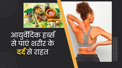 शरीर के दर्द से राहत दिला सकती हैं ये 5 आयर्वेदिक हर्ब्स, जानें प्रयोग का तरीका