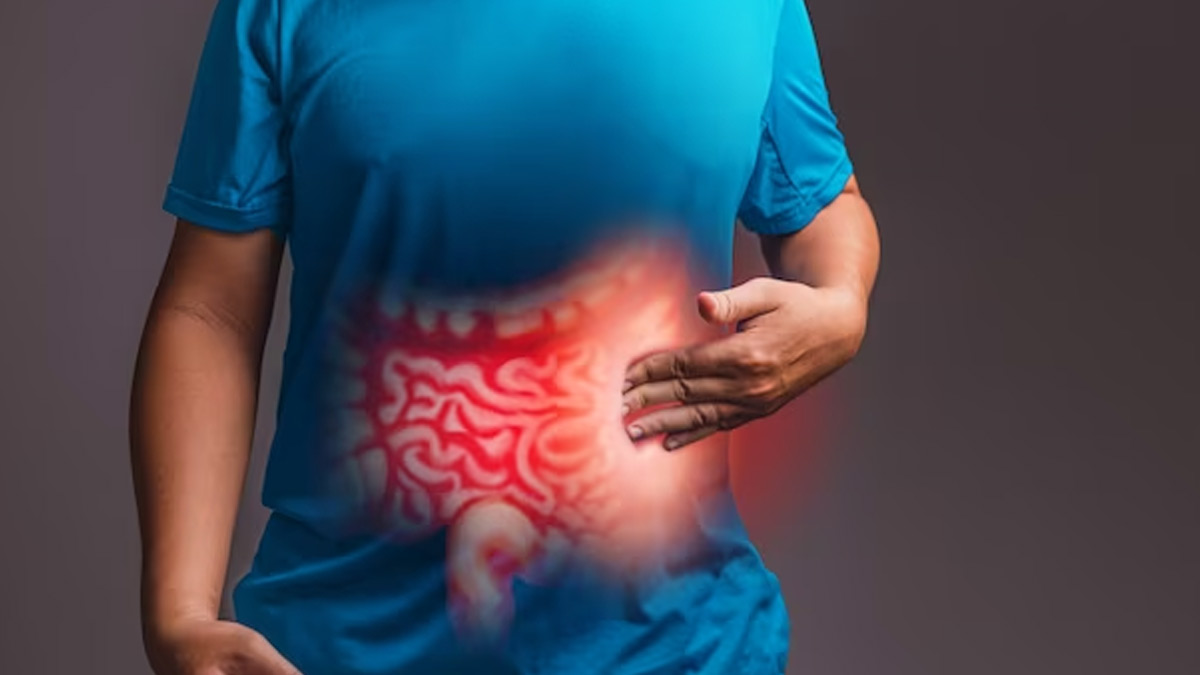 Gut Health Importance For Nutrient Absorption