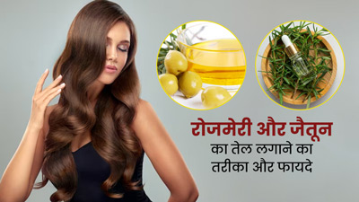 बालों में मिक्स करके लगाएं रोजमेरी और जैतून का तेल, जानें इसके फायदे और प्रयोग का तरीका