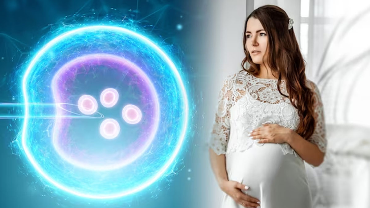 Healthier IVF treatment
