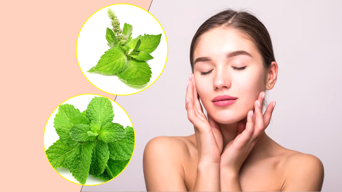 चेहरे पर लगाएं तुलसी और पुदीना फेस पैक, आएगा निखार और बढ़ेगी चमक