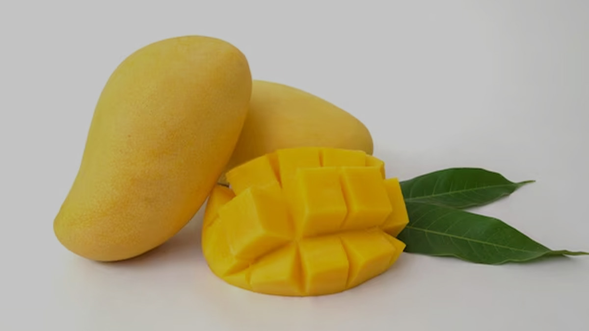 MANGO MYTHS