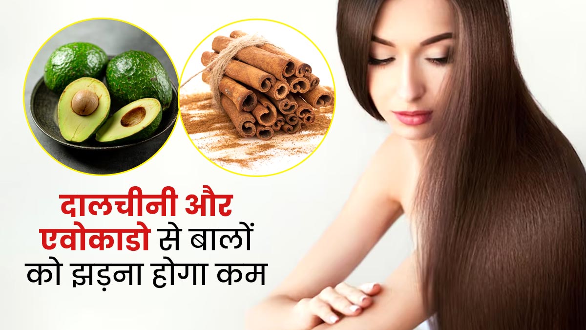 बालों पर लगाएं दालचीनी और एवोकाडो हेयर मास्क,  हेयर फॉल होगा कंट्रोल
