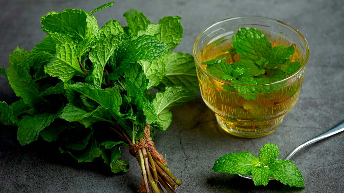 peppermint tea benefits