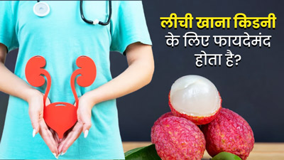 क्या लीची का सेवन किडनी रोगियों के लिए फायदेमंद होता है? एक्सपर्ट से जानें इसके फायदे-नुकसान