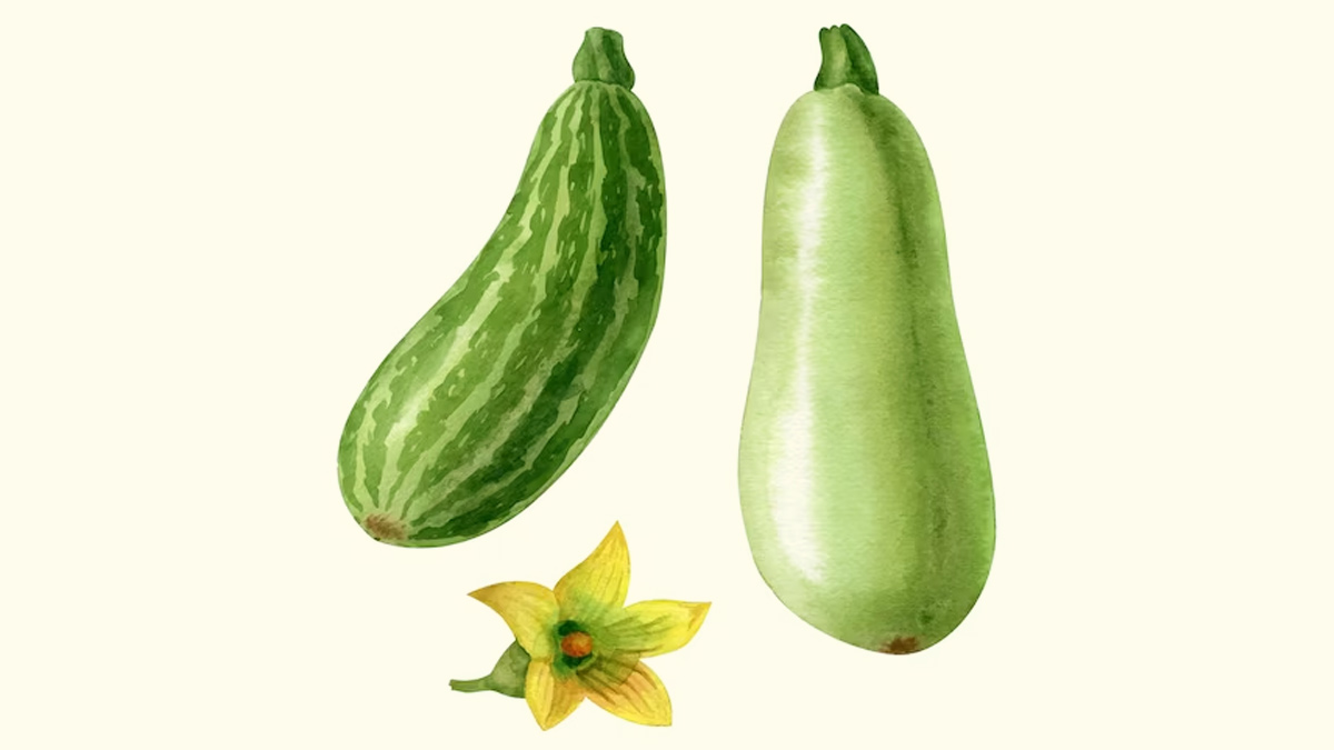 Health benefits hotsell of bottle gourd