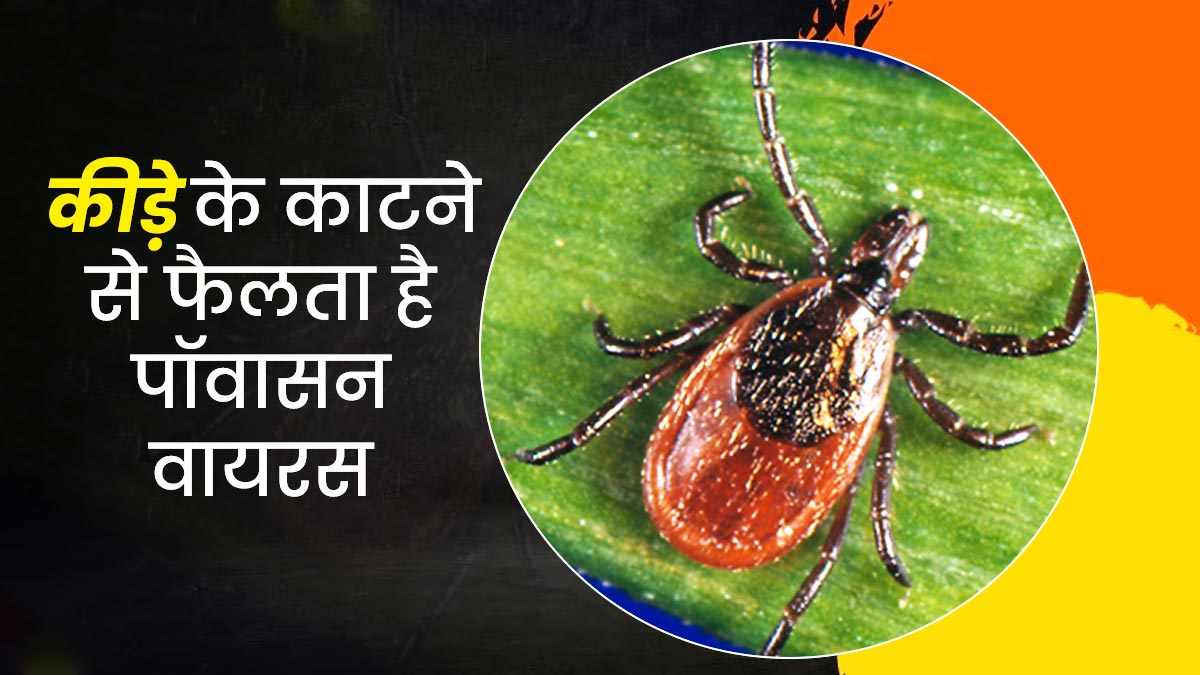 Powassan virus: मंकीपॉक्स के बाद अब पॉवासन वायरस ने दी दस्तक, जानें क्या हैं इसके लक्षण, कारण और इलाज