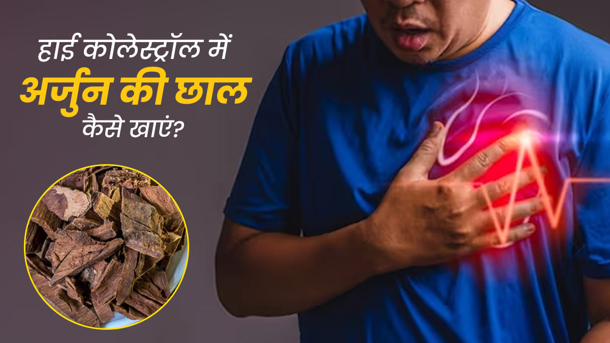 कोलेस्ट्रॉल को कम करने में कैसे फायदेमंद है अर्जुन की छाल, जानें सेवन का तरीका