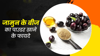 जामुन के बीजों का पाउडर खाने से दूर होती हैं ये 5 समस्याएं, जानें सेवन का तरीका और समय