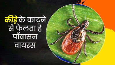 Powassan virus: मंकीपॉक्स के बाद अब पॉवासन वायरस ने दी दस्तक, जानें क्या हैं इसके लक्षण, कारण और इलाज