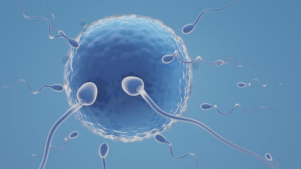 Expert-Recommended Tips To Improve Fertility In Your 30s | OnlyMyHealth