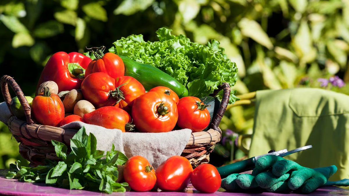 Benefits Of Eating Local Foods In Hindi