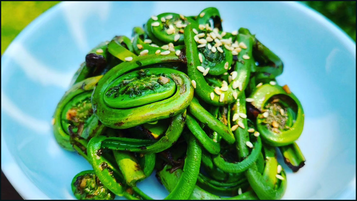 fiddlehead ferns for health in hindi
