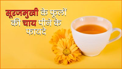 सूरजमुखी के फूलों की चाय पीने से शरीर को मिलते हैं ये 5 फायदे, जानें बनाने का तरीका 
