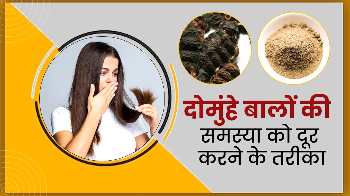दोमुंहे बालों की समस्या को दूर करता है शिकाकाई और भृंगराज का हेयर मास्क, जानें इस्तेमाल का तरीका