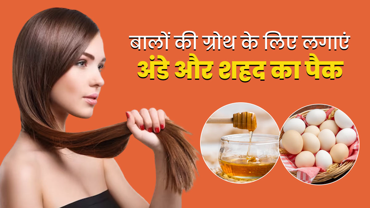 बालों पर इस तरह लगाएं अंडे और शहद से बना हेयर पैक, लंबे-घने बनेंगे बाल