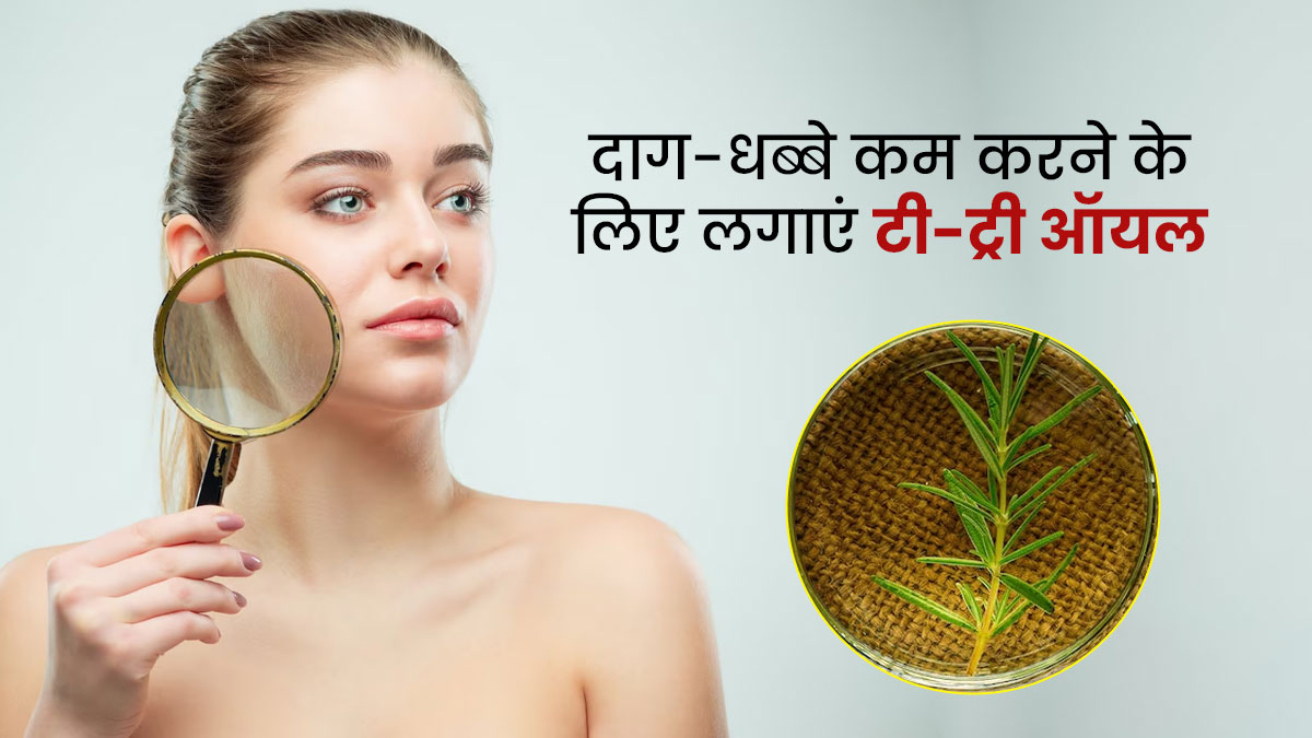 चेहरे के दाग-धब्बों को मिटाने में मदद करेगा टी-ट्री ऑयल, जानें इस्तेमाल का तरीका