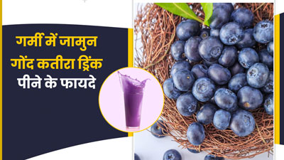 गर्मी में जामुन गोंद कतीरा ड्रिंक पीने से मिलेंगे ये 5 फायदे, जानें इसे बनाने का तरीका