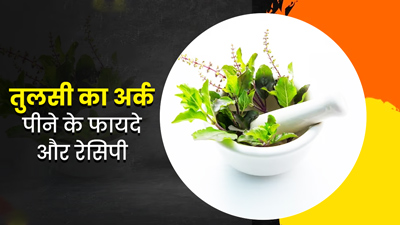 तुलसी का अर्क पीने से शरीर को मिलते हैं ये 4 फायदे, जानें इसे बनाने का तरीका