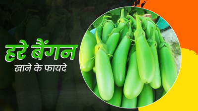 हरा बैंगन खाने से सेहत को मिलते हैं ये 5 फायदे, डाइट में करें शामिल