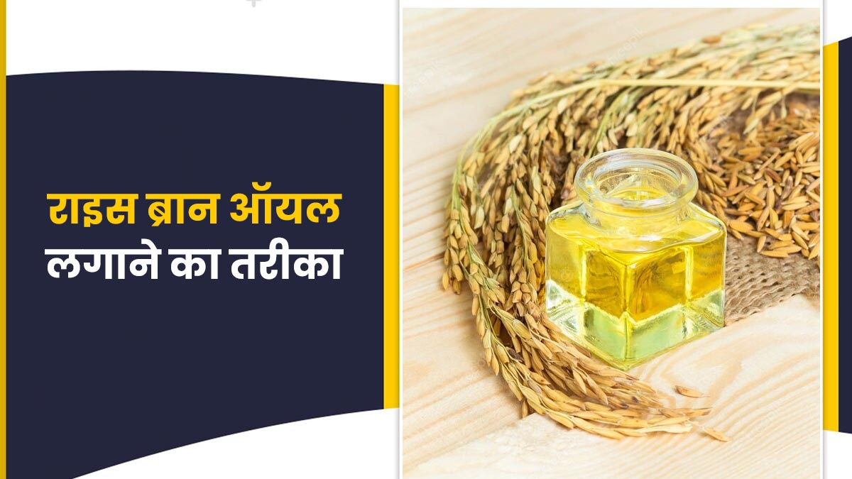 बालों को लंबा-घना बनाएगा राइस ब्रान ऑयल (चावल की भूसी का तेल), जानें इस्तेमाल का तरीका
