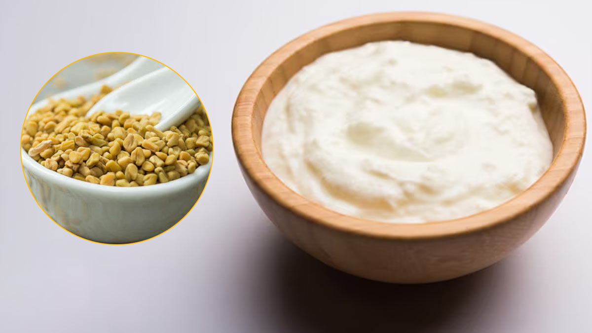 Curd-For-Hair-Fall