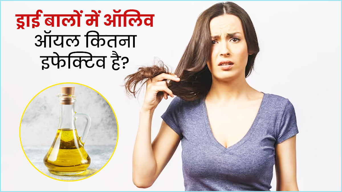 रूखे और बेजान बालों पर लगाएं ऑलिव ऑयल, दूर होंगी कई समस्याएं