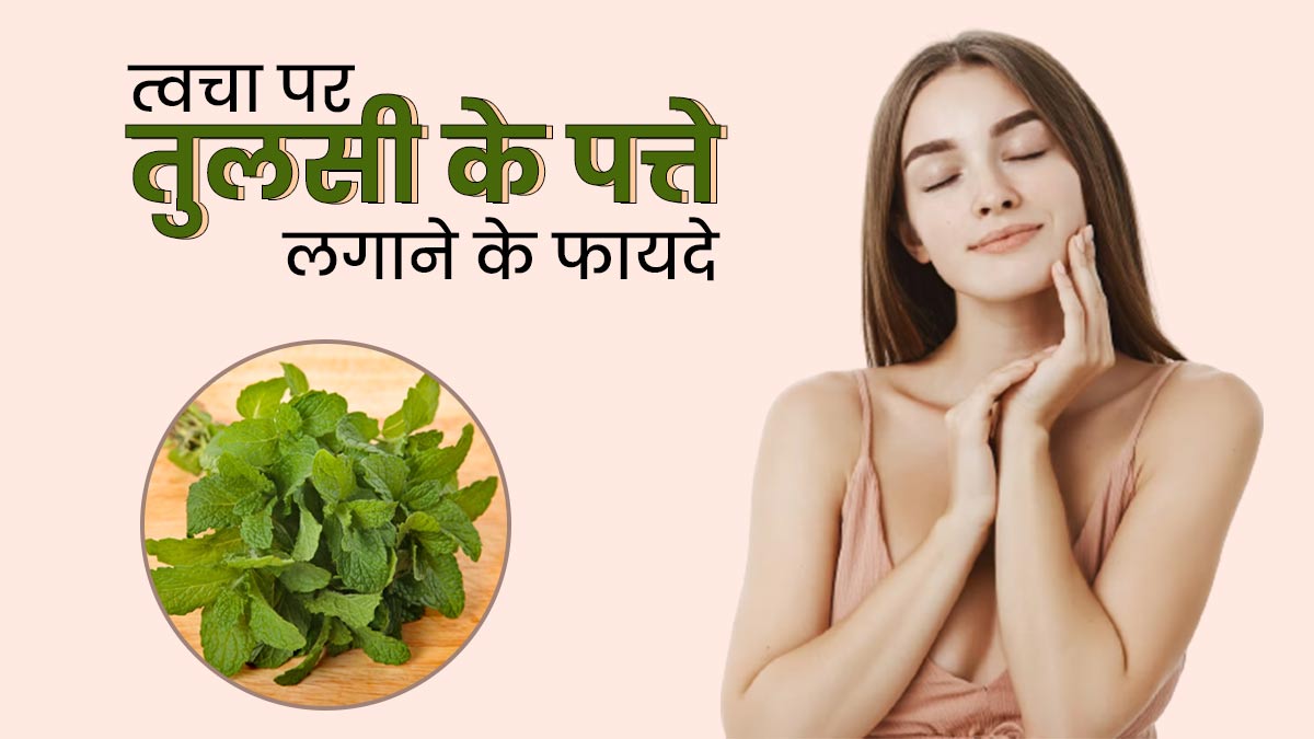 चेहरे पर इन 3 तरीकों से लगाएं तुलसी के पत्ते, मिलेगी खिली-खिली त्वचा
