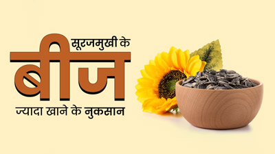 सूरजमुखी के बीजों का ज्यादा सेवन शरीर को पहुंचाता है नुकसान, हो सकती हैं ये 5 समस्याएं 