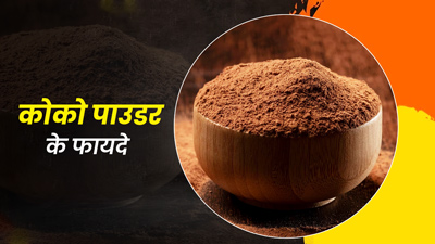 कोको पाउडर के रोजाना सेवन से सेहत को मिलेंगे ये 5 फायदे 