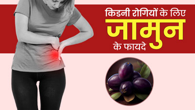 किडनी रोगियों के लिए जामुन खाना होता है फायदेमंद, जानें कितनी मात्रा में सेवन है सेफ