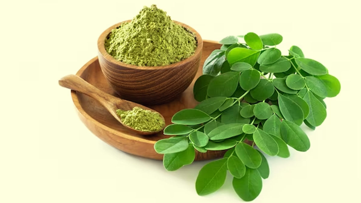 moringa powder in thyroid