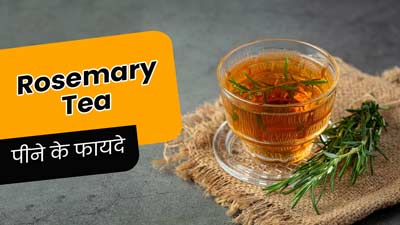 रोजमेरी टी पीकर करें दिन की शुरुआत, मिलेंगे ये 4 गजब के फायदे