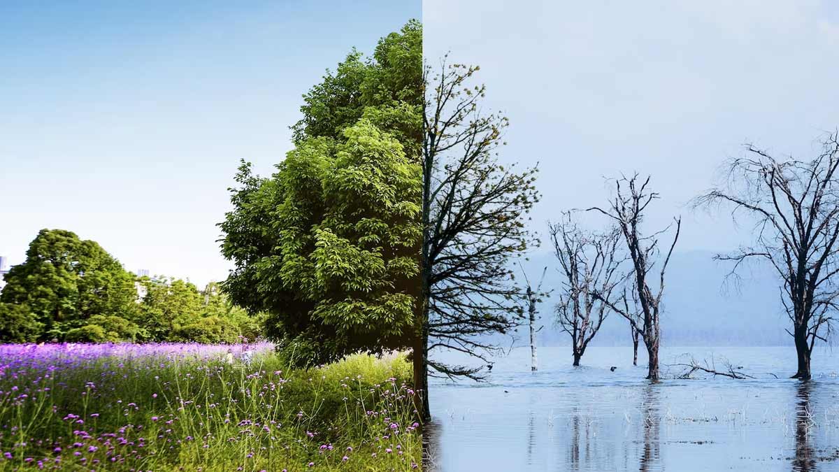 climate change effect on heart