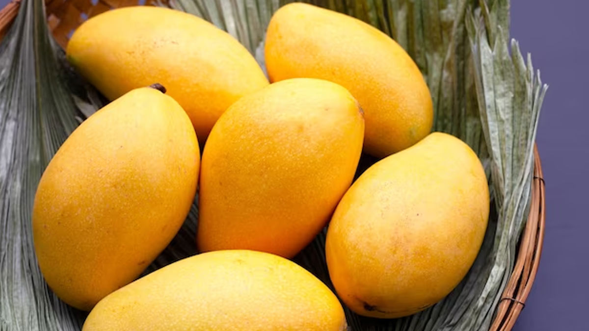 mango