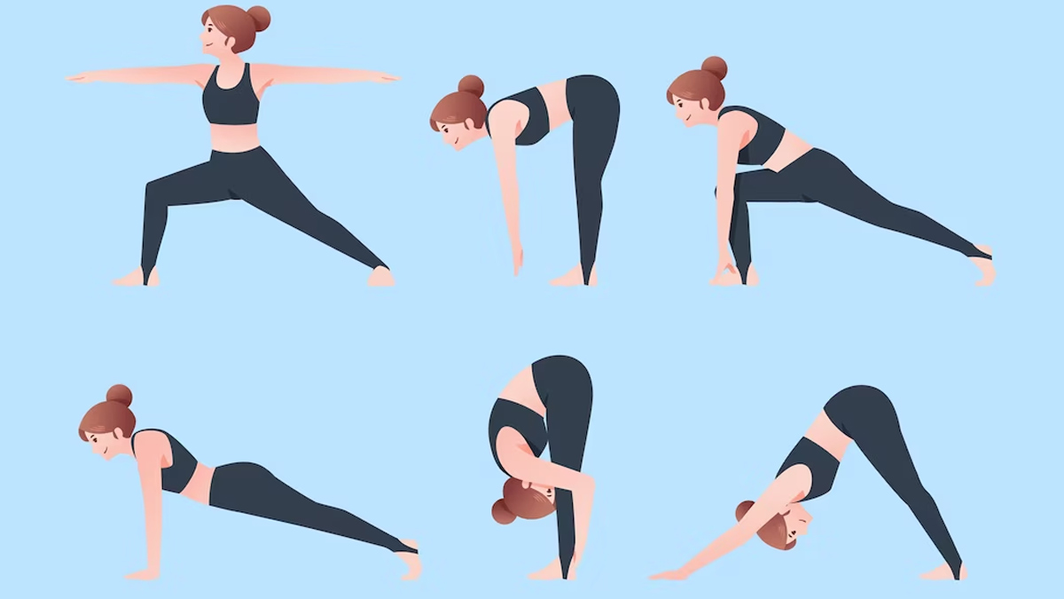 Yoga Anatomy | The Health Benefits of Yoga | AnatomyStuff