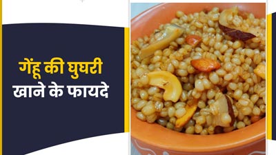 स्वाद और सेहत से भरपूर है गेंहू की घुघरी, जानें इसके फायदे और आसान रेसिपी
