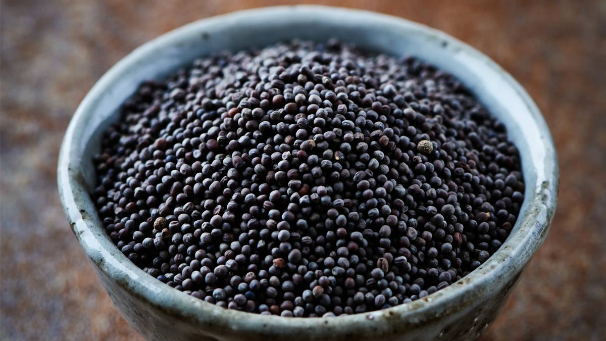 कोलेस्ट्रॉल बढ़ने पर डाइट में शामिल करें ये 4 काले बीज, एलडीएल होने