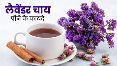 लैवेंडर चाय पीने से शरीर को मिलते हैं ये 5 बेमिसाल फायदे 
