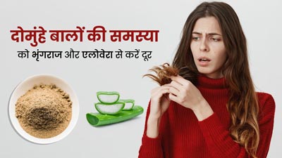दोमुंहे बालों की समस्या को दूर करेगा भृंगराज और एलोवेरा का मिश्रण, इस तरह से करें इस्तेमाल