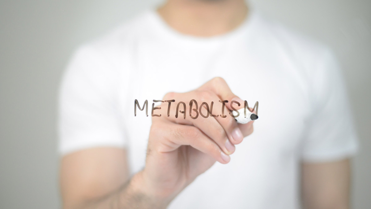 Metabolism Myths And Facts In Hindi