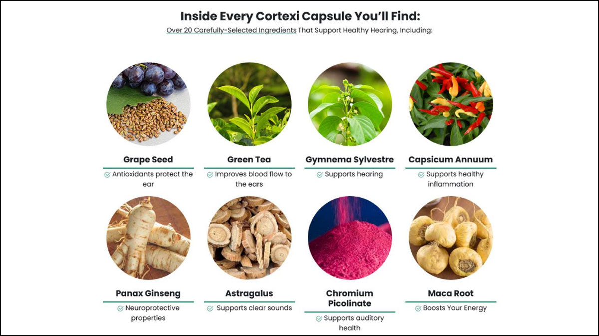 Cortexi Ingredients