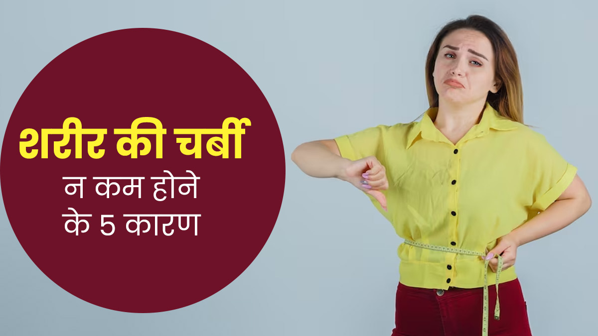 डाइटिंग और एक्सरसाइज के बाद भी कम नहीं हो रही शरीर की चर्बी? जिम्मेदार हो सकते हैं ये 5 कारण