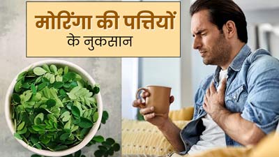 क्या मोरिंगा (सहजन) के पत्ते सेहत के लिए नुकसानदायक होते हैं? खाने से पहले जरूर जानें